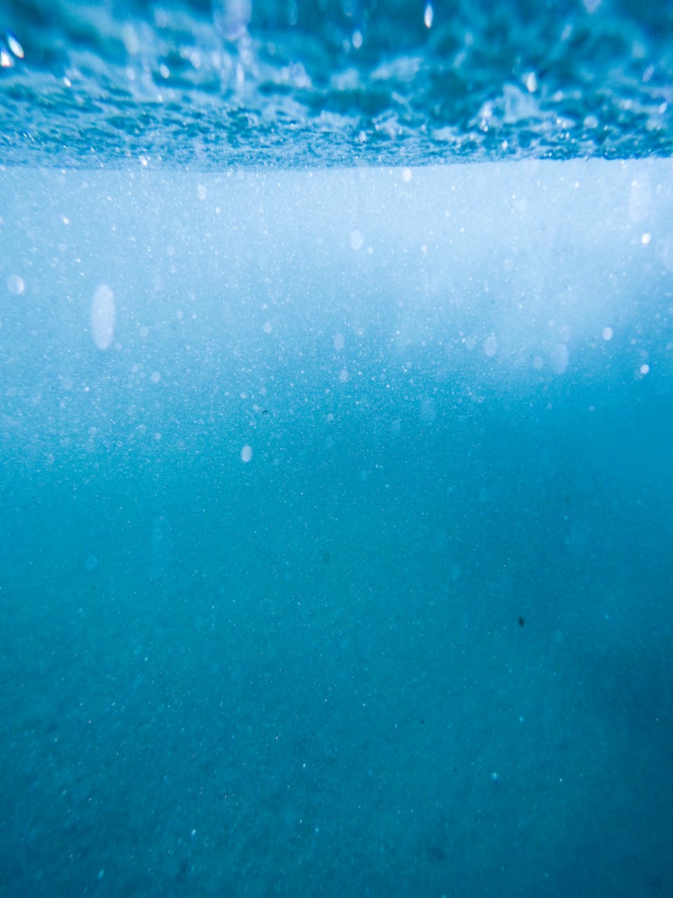 Discover the serene beauty of Cape Town's ocean depths in this captivating underwater image.