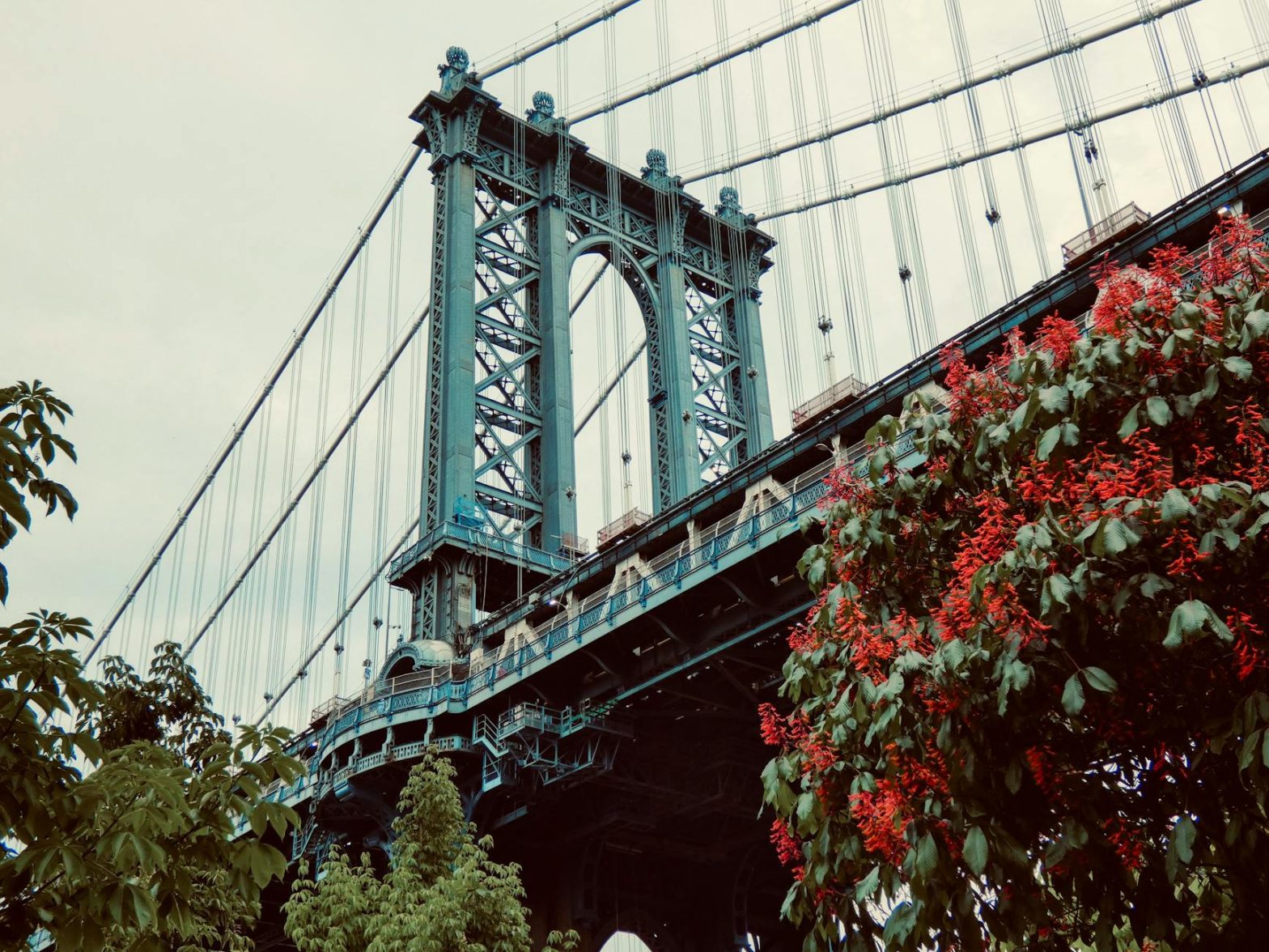 A low angle view of the Manhattan Bridge surrounded by lush greenery and vibrant blooms, showcasing its stunning architecture.